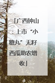 广西钟山：上市“小糖丸”无籽西瓜助农增收