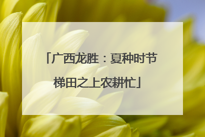 广西龙胜：夏种时节 梯田之上农耕忙