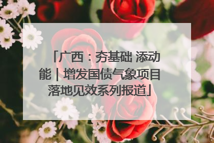广西：夯基础 添动能｜增发国债气象项目落地见效系列报道