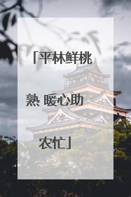 平林鲜桃熟 暖心助农忙