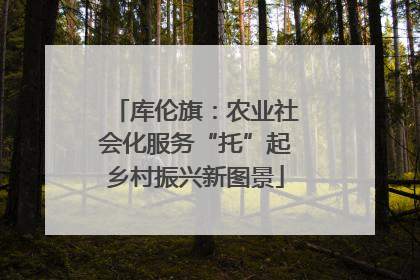 库伦旗：农业社会化服务“托”起乡村振兴新图景