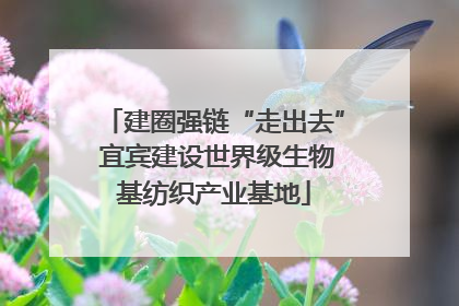建圈强链“走出去” 宜宾建设世界级生物基纺织产业基地