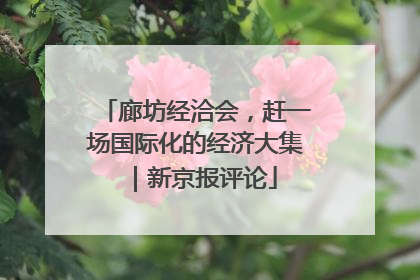 廊坊经洽会，赶一场国际化的经济大集｜新京报评论