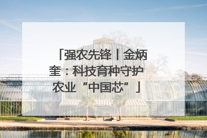 强农先锋丨金炳奎：科技育种守护农业“中国芯”