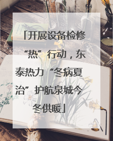 开展设备检修“热”行动，东泰热力“冬病夏治”护航泉城今冬供暖
