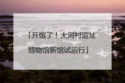 开馆了！大河村遗址博物馆新馆试运行