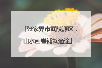张家界市武陵源区：山水画卷铺就通途