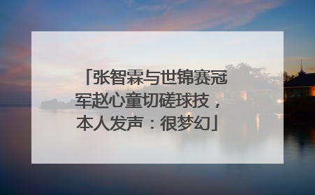 张智霖与世锦赛冠军赵心童切磋球技，本人发声：很梦幻