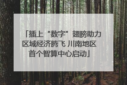插上“数字”翅膀助力区域经济腾飞 川南地区首个智算中心启动