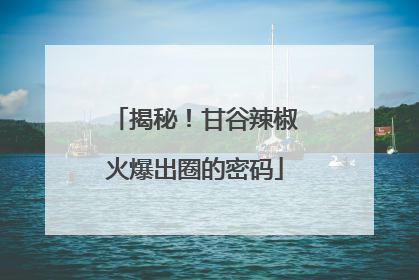 揭秘！甘谷辣椒火爆出圈的密码