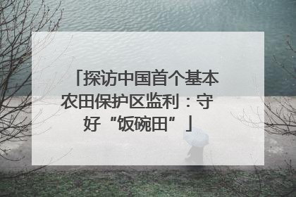 探访中国首个基本农田保护区监利：守好“饭碗田”