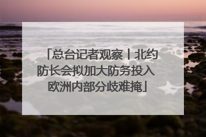 总台记者观察丨北约防长会拟加大防务投入 欧洲内部分歧难掩