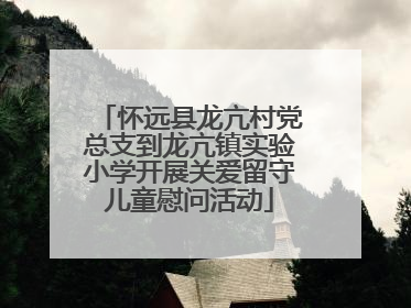 怀远县龙亢村党总支到龙亢镇实验小学开展关爱留守儿童慰问活动