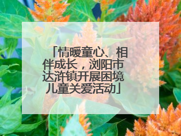情暖童心、相伴成长，浏阳市达浒镇开展困境儿童关爱活动