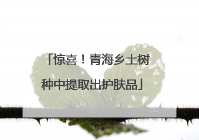 惊喜！青海乡土树种中提取出护肤品