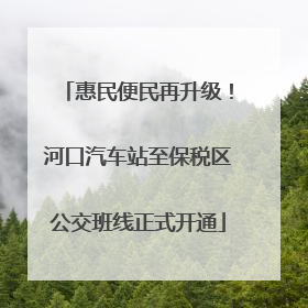 惠民便民再升级！河口汽车站至保税区公交班线正式开通