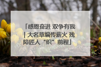 感恩奋进 双争有我｜大名草编传薪火 残障匠人“织”前程