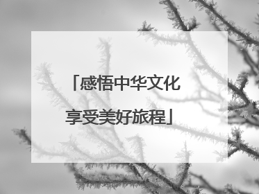 感悟中华文化 享受美好旅程
