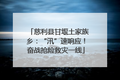 慈利县甘堰土家族乡：“汛”速响应！奋战抢险救灾一线