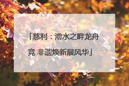 慈利：澧水之畔龙舟竞 非遗焕新展风华
