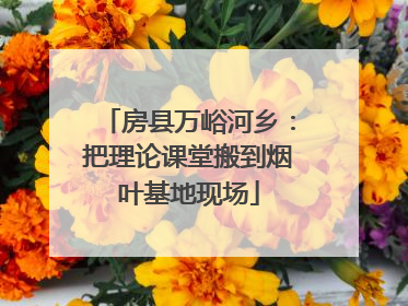 房县万峪河乡：把理论课堂搬到烟叶基地现场