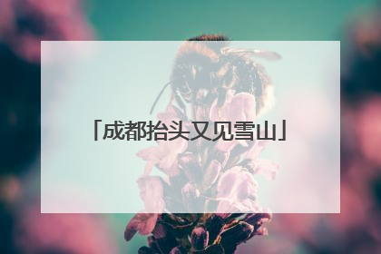 成都抬头又见雪山