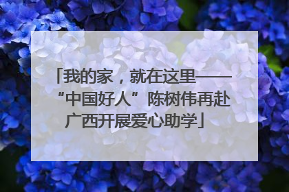 我的家，就在这里——“中国好人”陈树伟再赴广西开展爱心助学