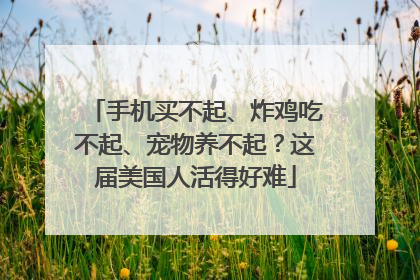 手机买不起、炸鸡吃不起、宠物养不起？这届美国人活得好难