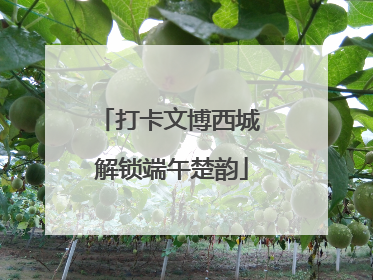 打卡文博西城 解锁端午楚韵