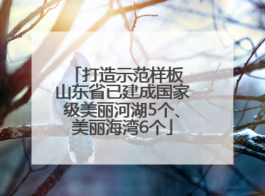 打造示范样板 山东省已建成国家级美丽河湖5个、美丽海湾6个
