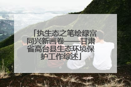 执生态之笔绘绿富同兴新画卷——甘肃省高台县生态环境保护工作综述