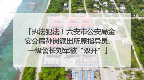 执法犯法！六安市公安局金安分局孙岗派出所原指导员、一级警长刘军被“双开”