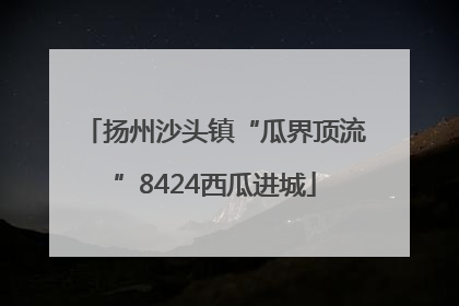 扬州沙头镇“瓜界顶流”8424西瓜进城