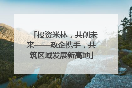 投资米林，共创未来——政企携手，共筑区域发展新高地