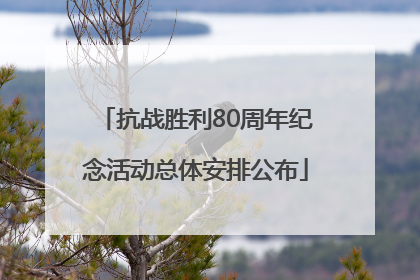 抗战胜利80周年纪念活动总体安排公布