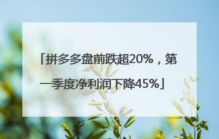 拼多多盘前跌超20%，第一季度净利润下降45%