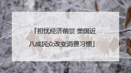 担忧经济前景 美国近八成民众改变消费习惯