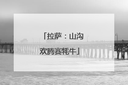 拉萨：山沟欢腾赛牦牛