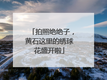 拍照绝绝子，黄石这里的绣球花盛开啦