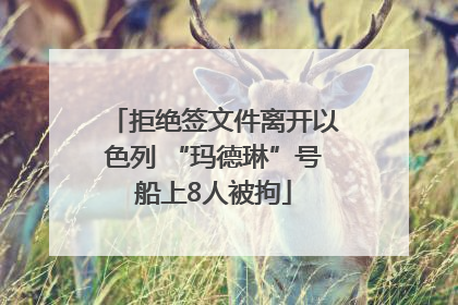拒绝签文件离开以色列 “玛德琳”号船上8人被拘