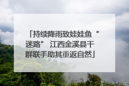 持续降雨致娃娃鱼“迷路” 江西金溪县干群联手助其重返自然
