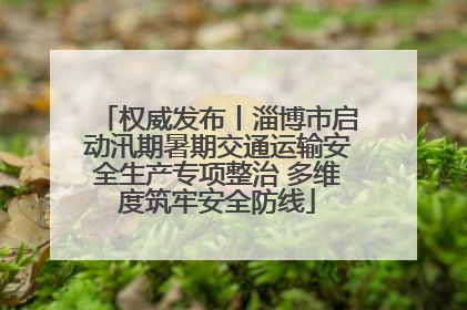 权威发布丨淄博市启动汛期暑期交通运输安全生产专项整治 多维度筑牢安全防线