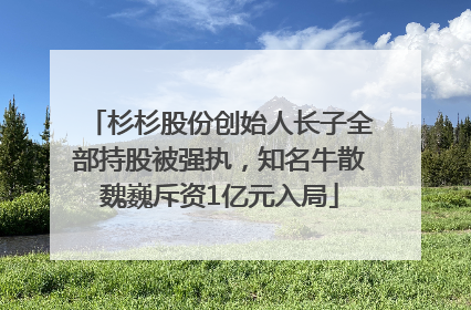 杉杉股份创始人长子全部持股被强执，知名牛散魏巍斥资1亿元入局