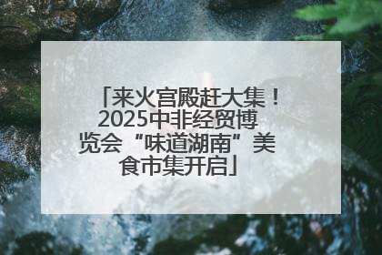 来火宫殿赶大集！2025中非经贸博览会“味道湖南”美食市集开启