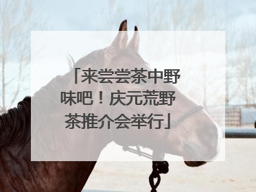来尝尝茶中野味吧！庆元荒野茶推介会举行