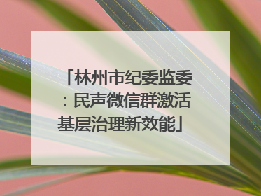 林州市纪委监委：民声微信群激活基层治理新效能