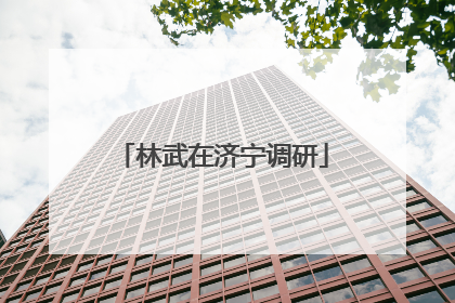 林武在济宁调研
