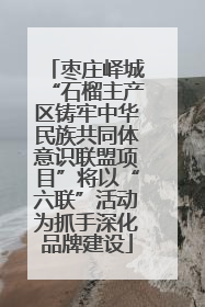 枣庄峄城“石榴主产区铸牢中华民族共同体意识联盟项目”将以“六联”活动为抓手深化品牌建设