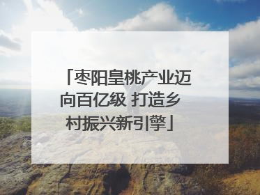 枣阳皇桃产业迈向百亿级 打造乡村振兴新引擎