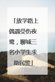 放学路上偶遇受伤夜鹭，聊城三名小学生求助民警
